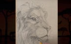 «Лев – царь зверей»